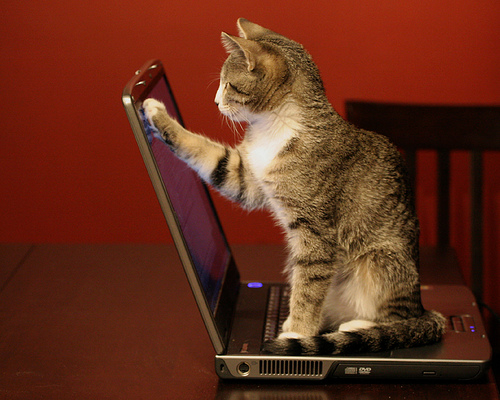 scratch-itch